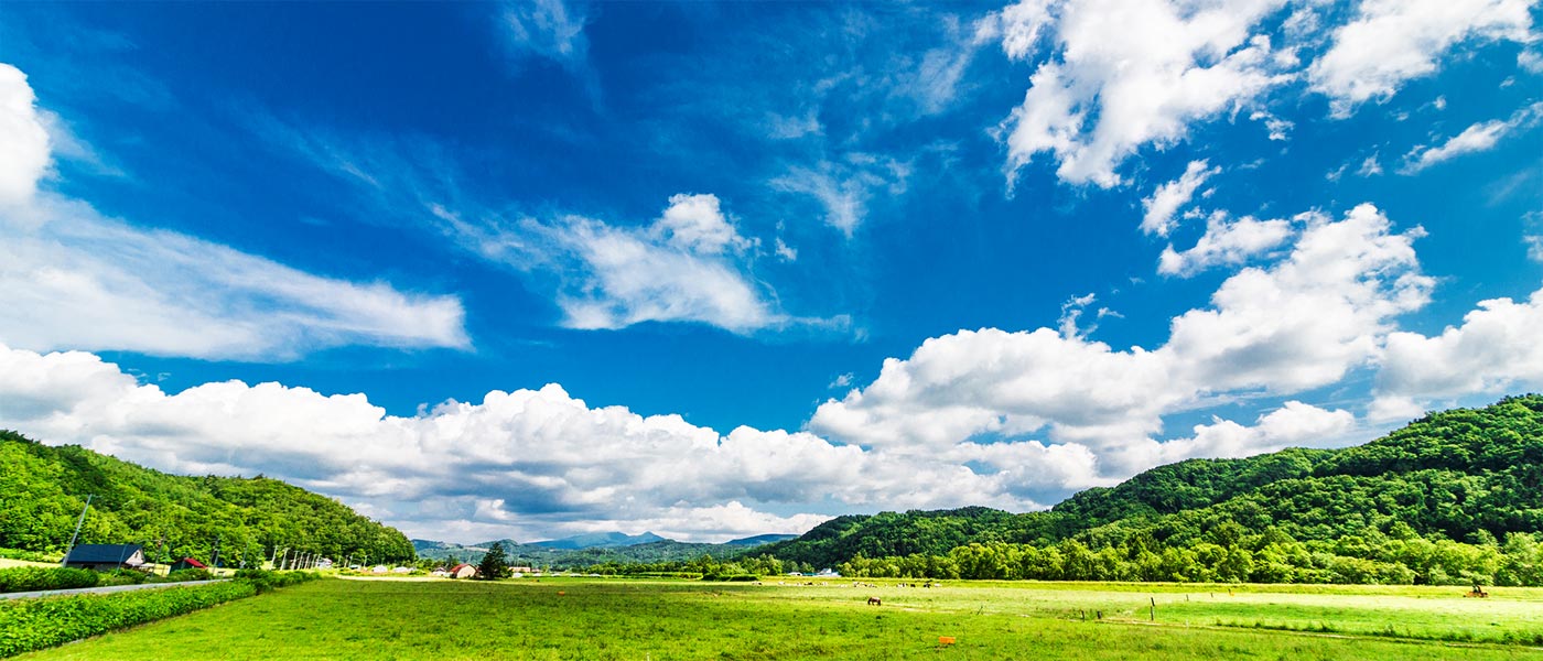 ふくおか畜販とは